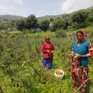 Untitled - 2025-10-31T174929.936