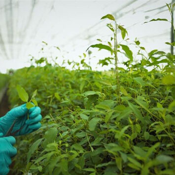 Untitled - 2025-10-31T175026.191